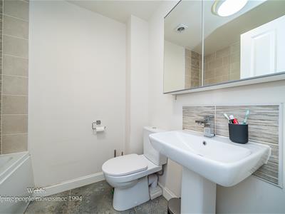 Picture 24